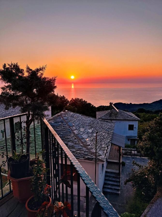 Guesthouse Papagiannopoulou Zagorá Eksteriør bilde