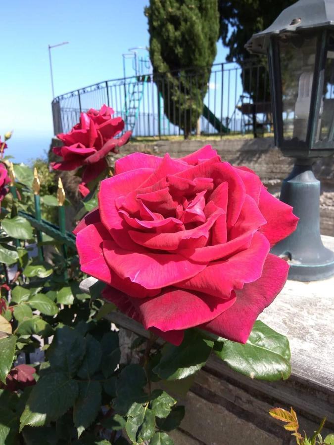 Guesthouse Papagiannopoulou Zagorá Eksteriør bilde