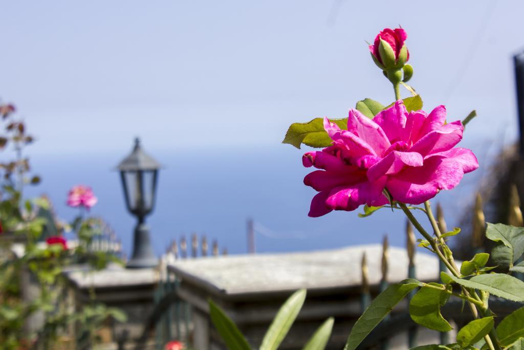 Guesthouse Papagiannopoulou Zagorá Eksteriør bilde